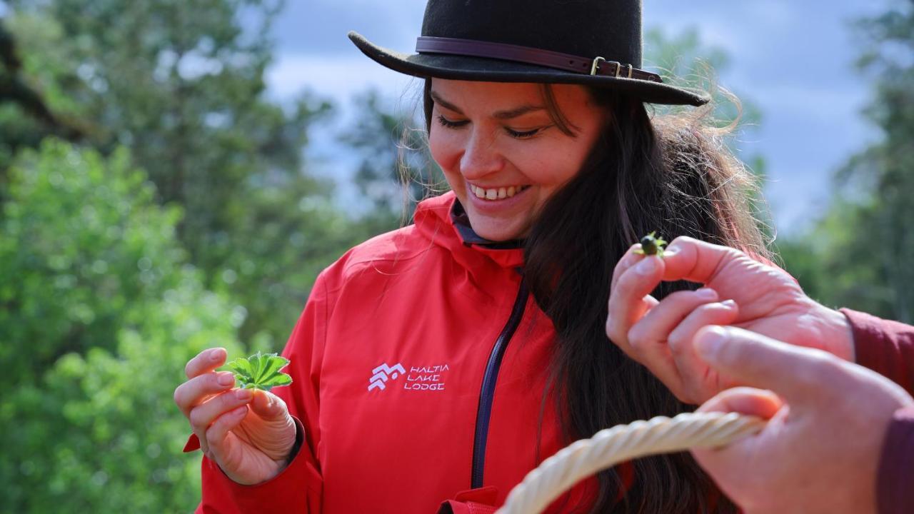 Haltia Nature Boutique & Glamping Отель
